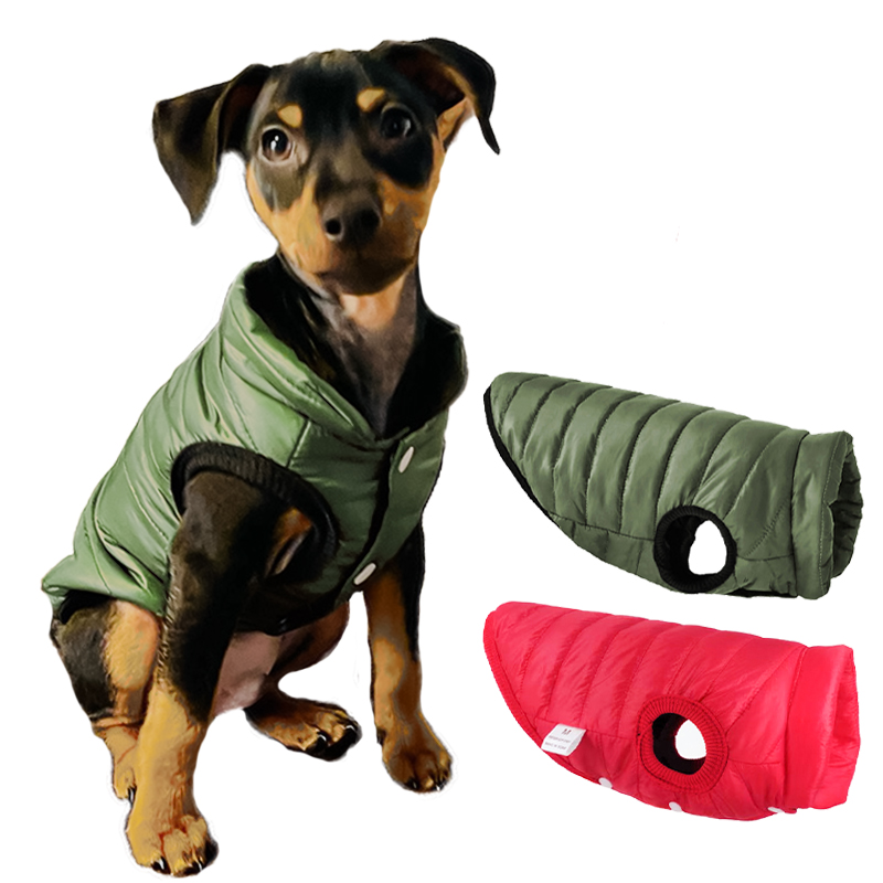 Winter Clothing In French - Ciepła kamizelka/płaszczyk dla psa na jesień