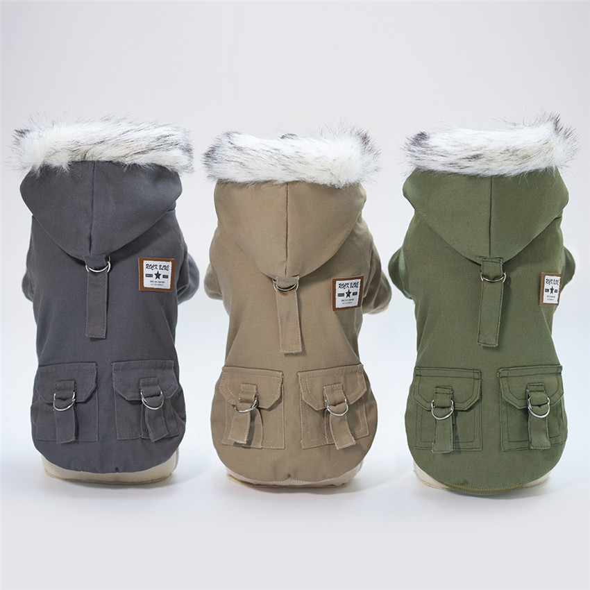 Winter Clothing In French - Ubrania dla zwierząt domowych dla małych