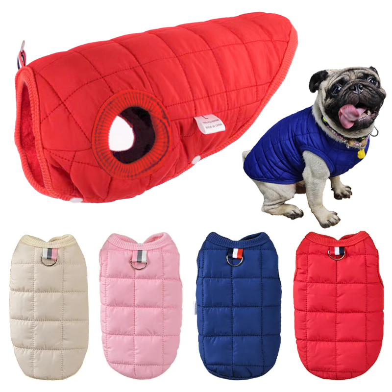 Winter Clothing In French - Zimowa bawełniana kurtka dla zwierząt, ciepłe