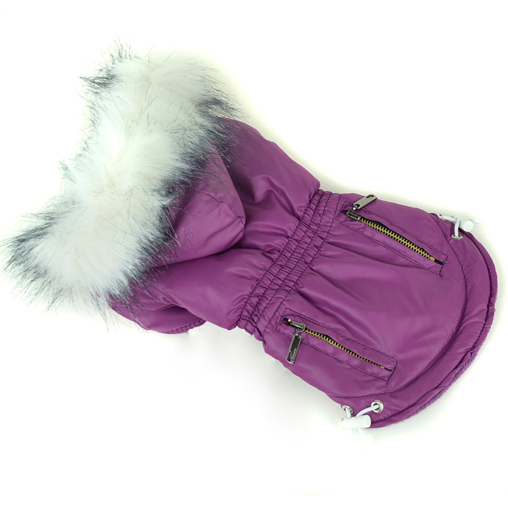 Zimowe ubrania dla psów ciepłe – Winter Clothing In French recenzja i cena