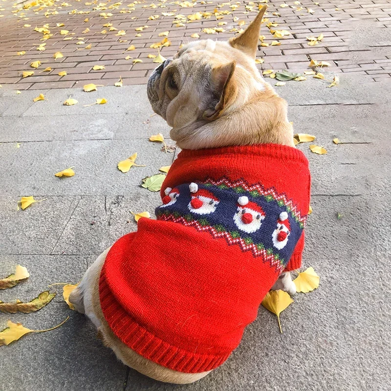 Świąteczny sweter dla psa Zimo – Winter Clothing In French recenzja i cena