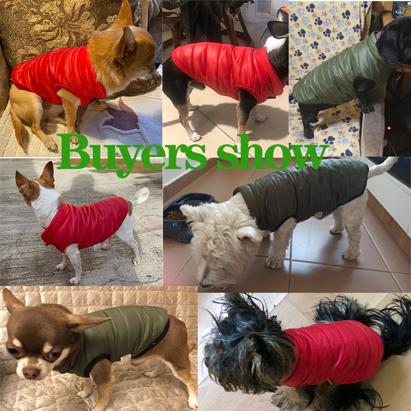 Ciepła kamizelka/płaszczyk dla – Winter Clothing In French recenzja i cena