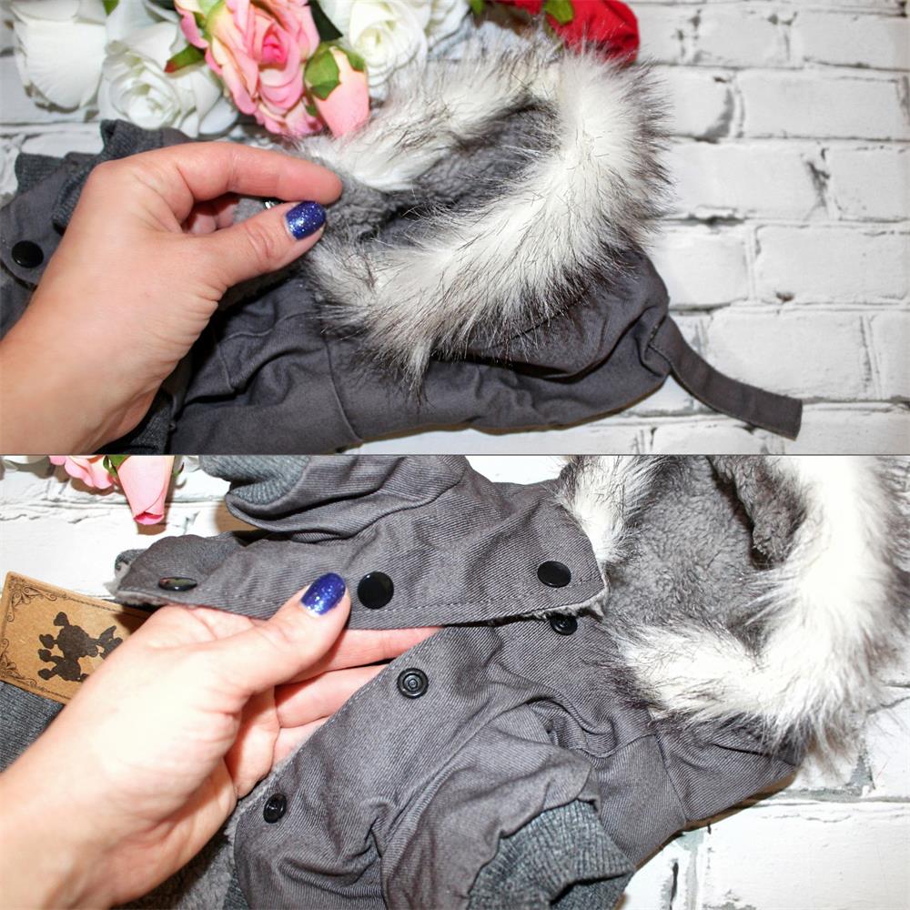Ubrania dla zwierząt domowych  – Winter Clothing In French recenzja i cena
