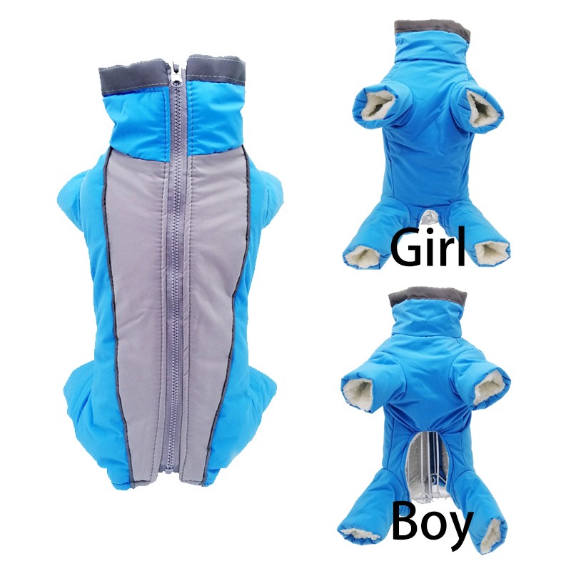Zimowe ubrania dla psów Super  – Winter Clothing In French recenzja i cena