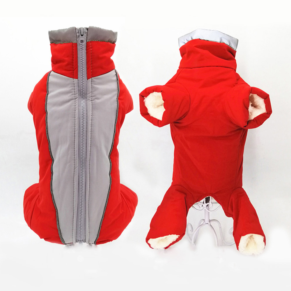 Zimowe ubrania dla psów Super  – Winter Clothing In French recenzja i cena